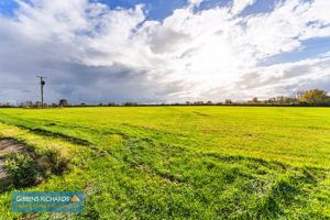 Field- click for photo gallery